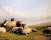 托马斯 辛德尼 库珀 : Sheep In An Extensive Landscape